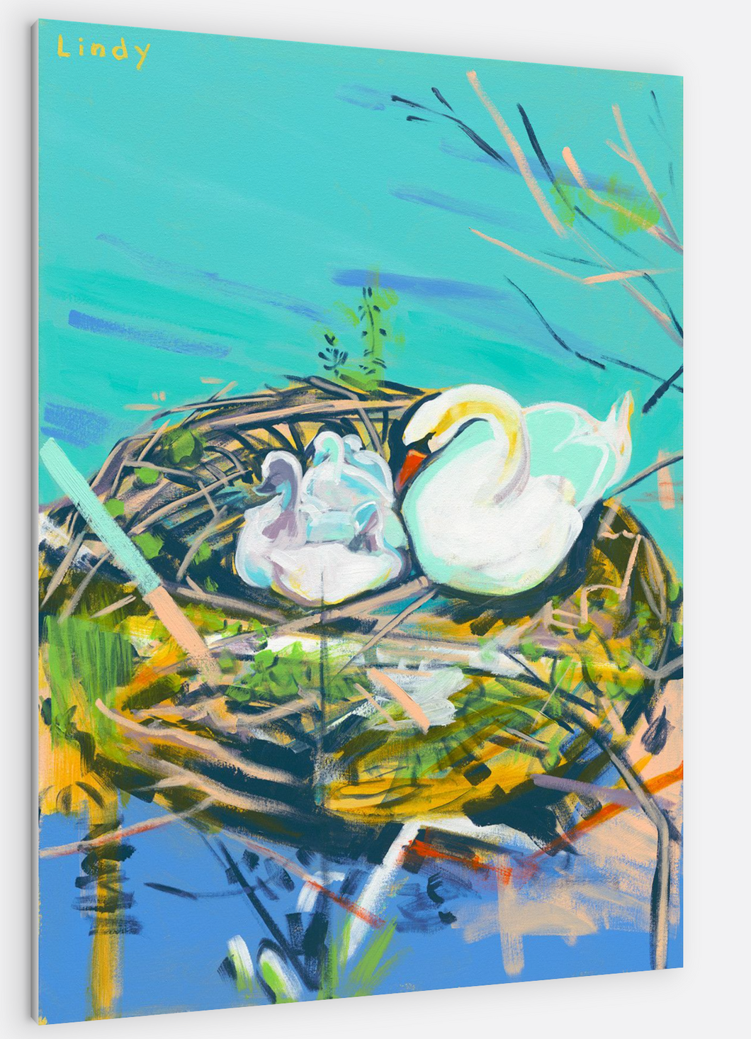 CYGNETS ON THE BOARDMAN