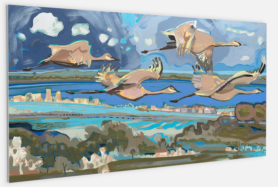 DAWN FLIGHT TO FLORIDA