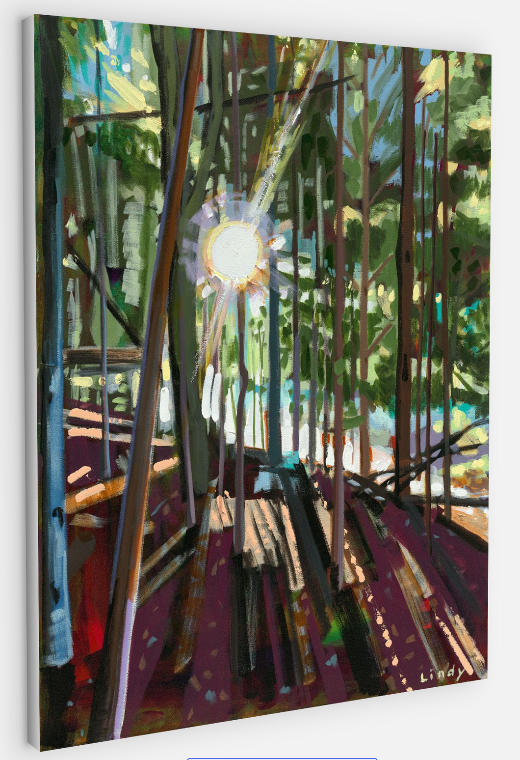 SUNRISE AT HICKORY MEADOWS