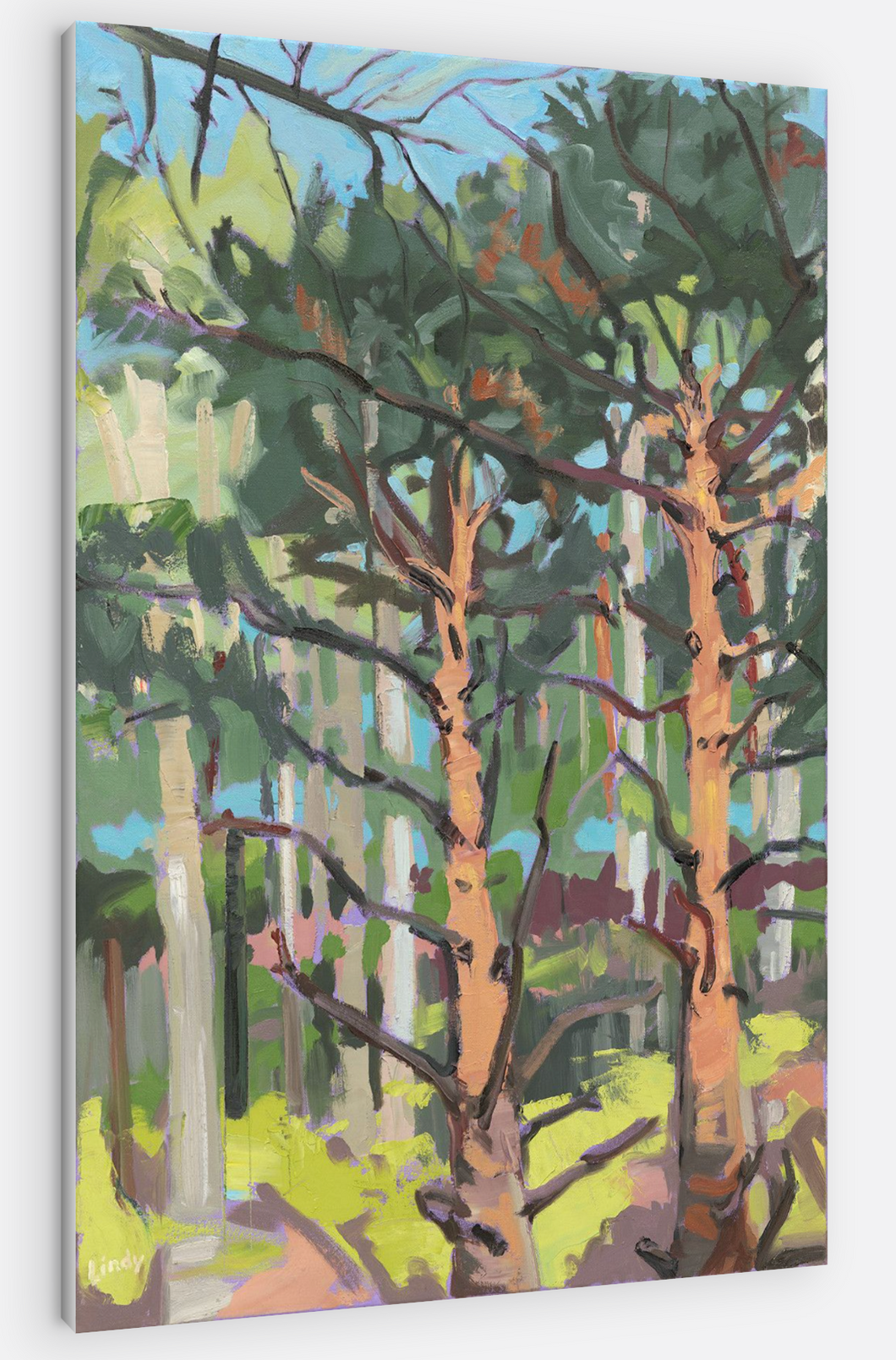 WHERE THE BIRDS REST