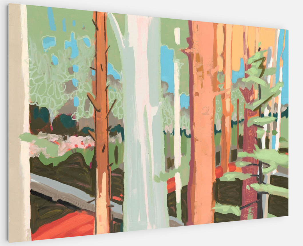 THE PATH TO HICKORY MEADOWS