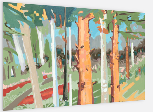 RUN AT HICKORY MEADOWS