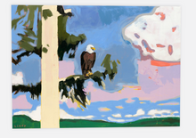 Eagle's View
