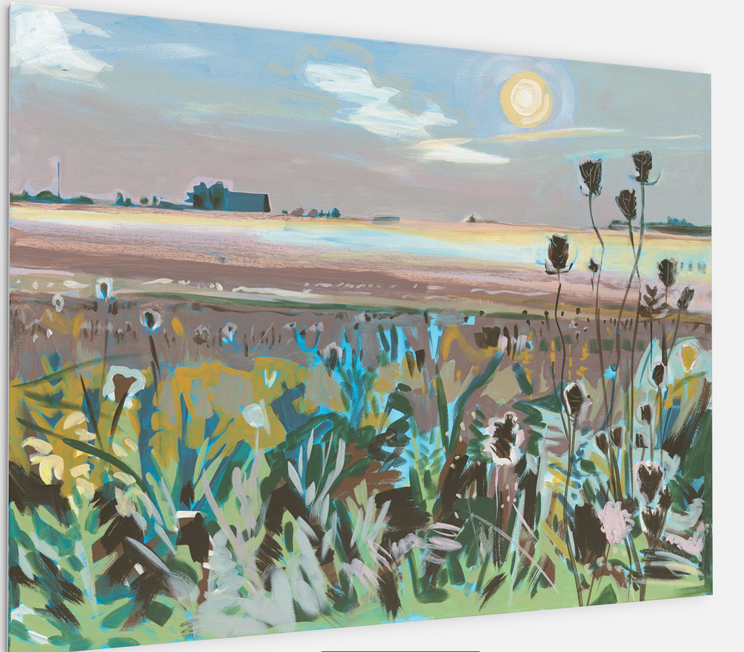 SUNRISE ON FALL FIELD